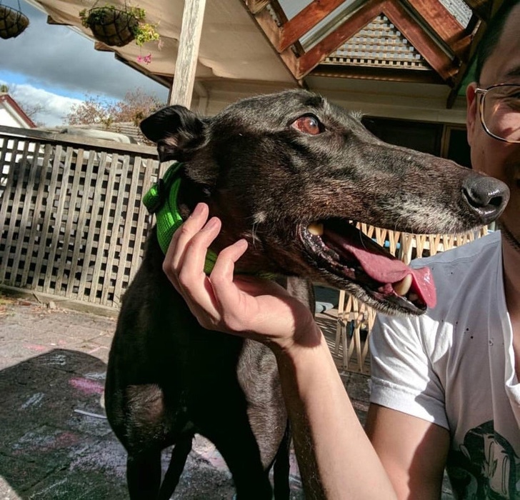 Illustration de l'article : Ces 21 personnes ont réussi un cliché fabuleux et original