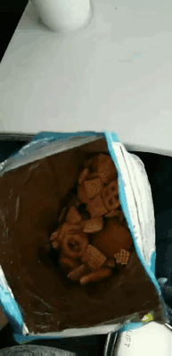 Illustration de l'article : 20 passagers insolites dans des transports aériens