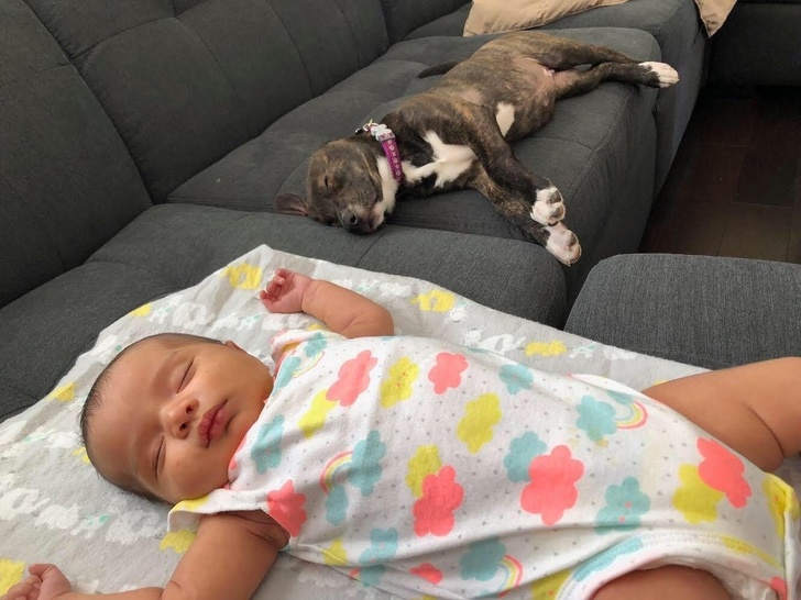 Illustration de l'article : Ces 18 photos qui représentent un souvenir émouvant vécu par ces personnes