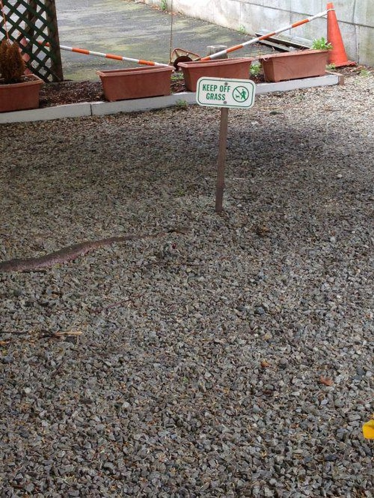 Illustration de l'article : Ces 21 erreurs du quotidien rapportées par des internautes