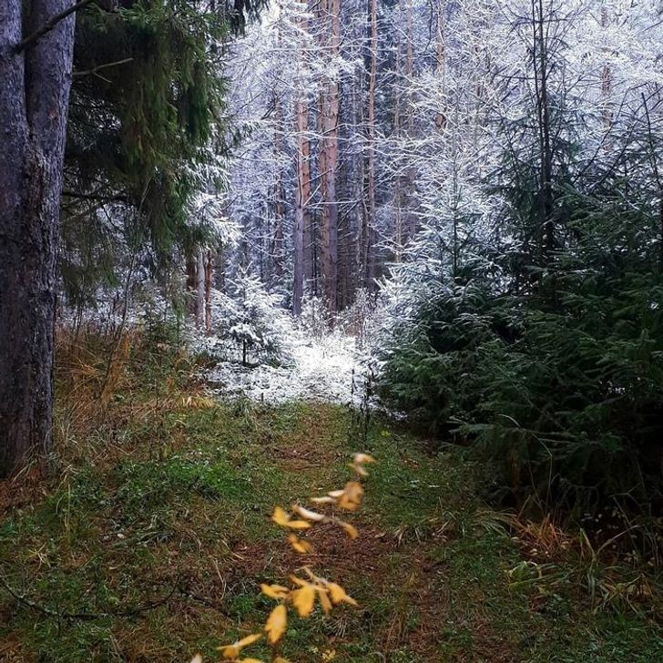 Illustration de l'article : Ces 18 situations comme on en rencontre rarement