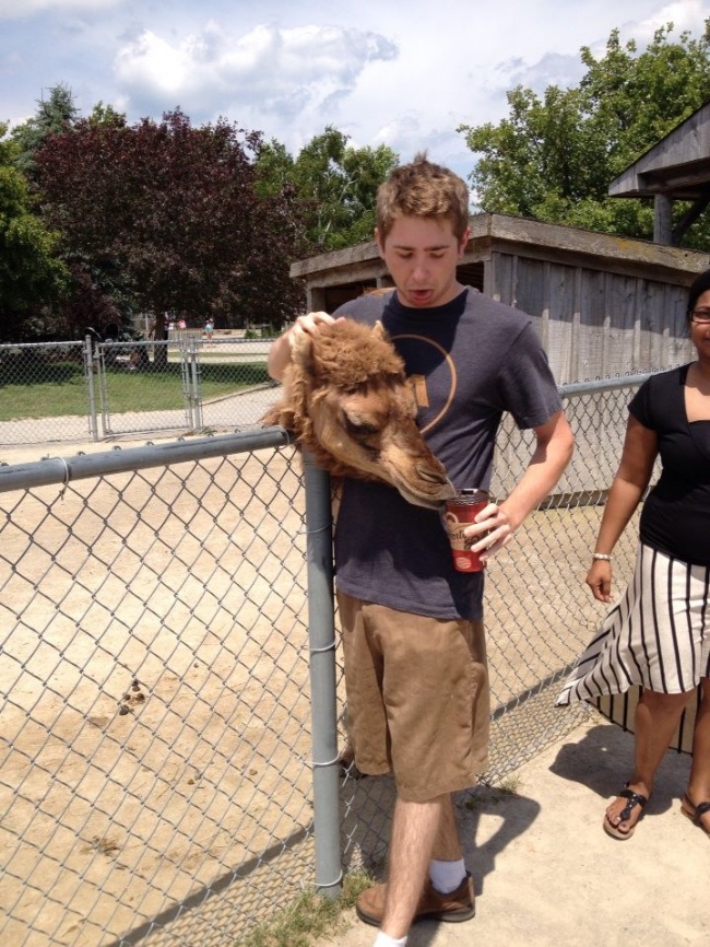 Illustration de l'article : Ces 25 photos trompent la vision grâce à l'angle de vue