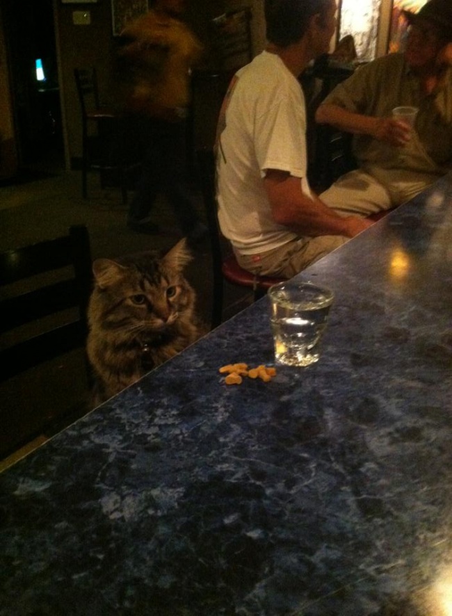 Illustration de l'article : 35 photos de choses totalement insensées et inexpliquées