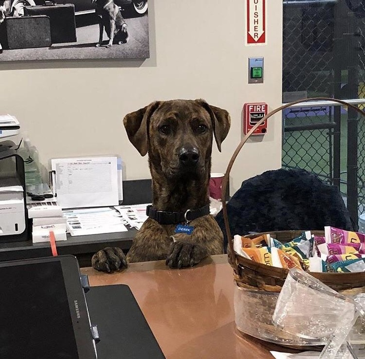 Illustration de l'article : Ces 18 personnes qui font un travail où l'on ne s'ennuie pas