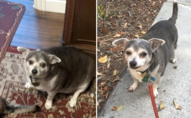 Illustration de l'article : Ces 19 photos qui illustrent les différentes manières d'exprimer son amour