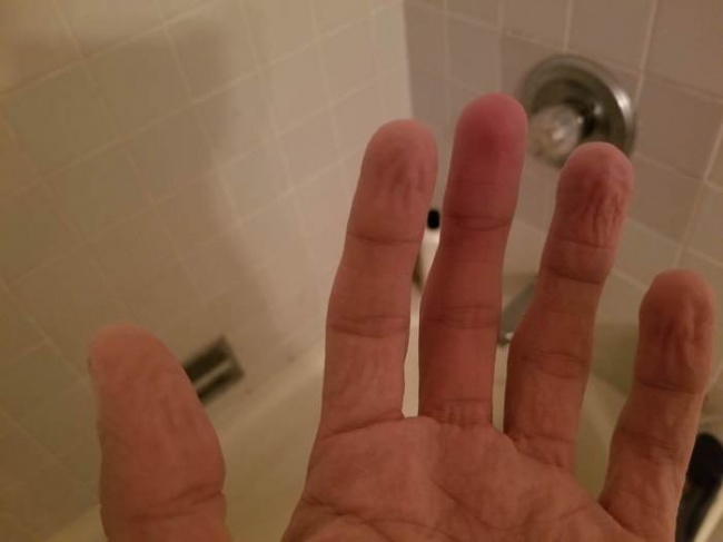 Illustration de l'article : 27 photos invraisemblables que vous n'avez probablement jamais vues