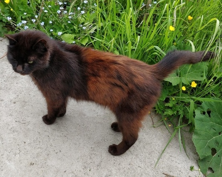 Illustration de l'article : Ces 15 curiosités qui montrent qu'on ne connait pas tout