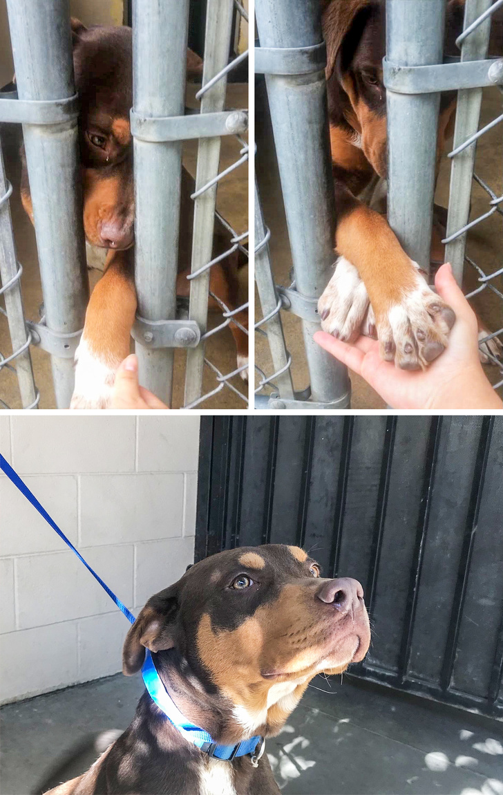 Illustration de l'article : Ces 20 photos qui montrent le bonheur de ces personnes