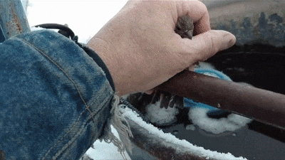 Illustration de l'article : Ces 20 photos qui montrent le bonheur de ces personnes