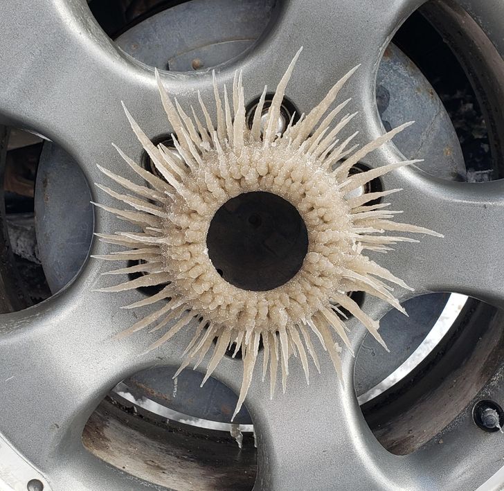 Illustration de l'article : Ces 15 petites découvertes partagées par des internautes