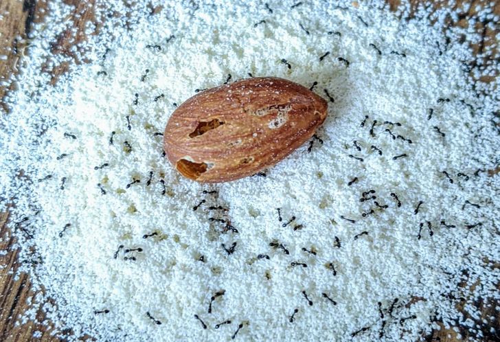 Illustration de l'article : Ces 20 personnes qui ont fait de bonnes trouvailles