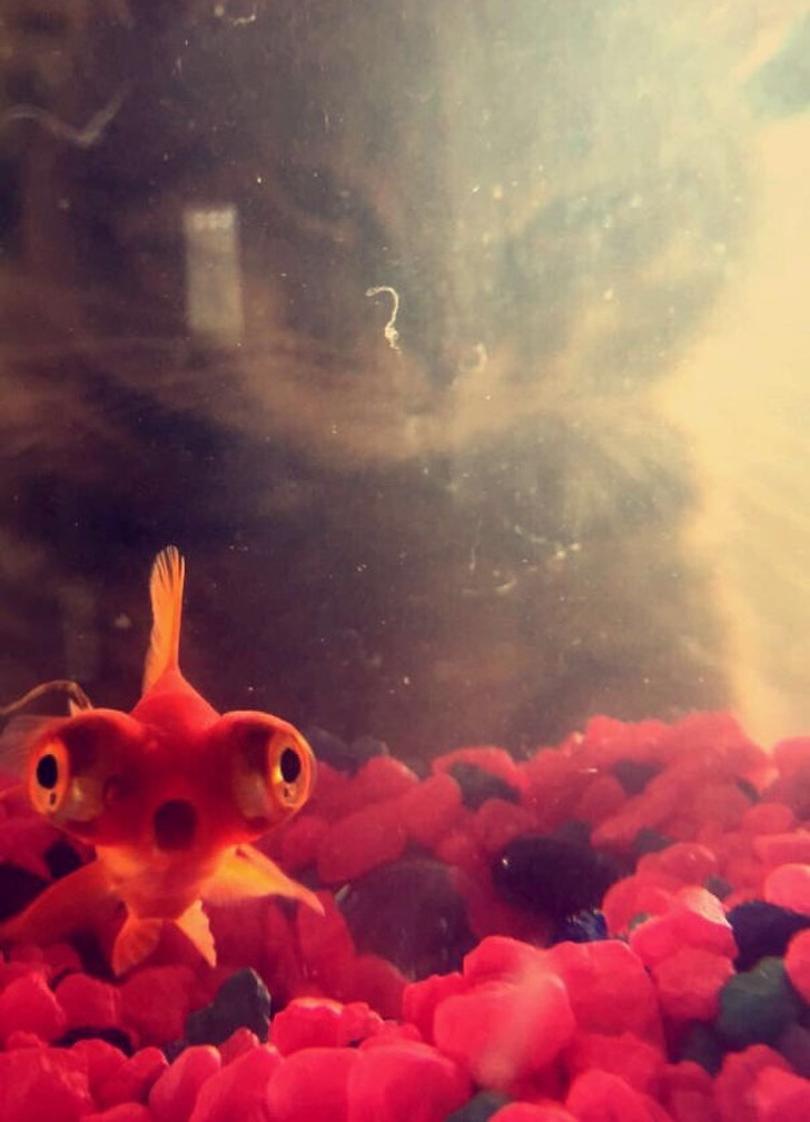 Illustration de l'article : Ces 28 moments où un détail fait toute la différence