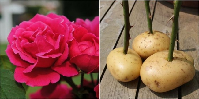 Illustration de l'article : 20 astuces tr&egrave;s simples pour faciliter votre quotidien