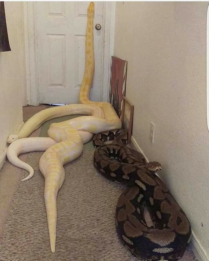 Illustration de l'article : Ces 20 personnes qui préfèrent oublier cette journée