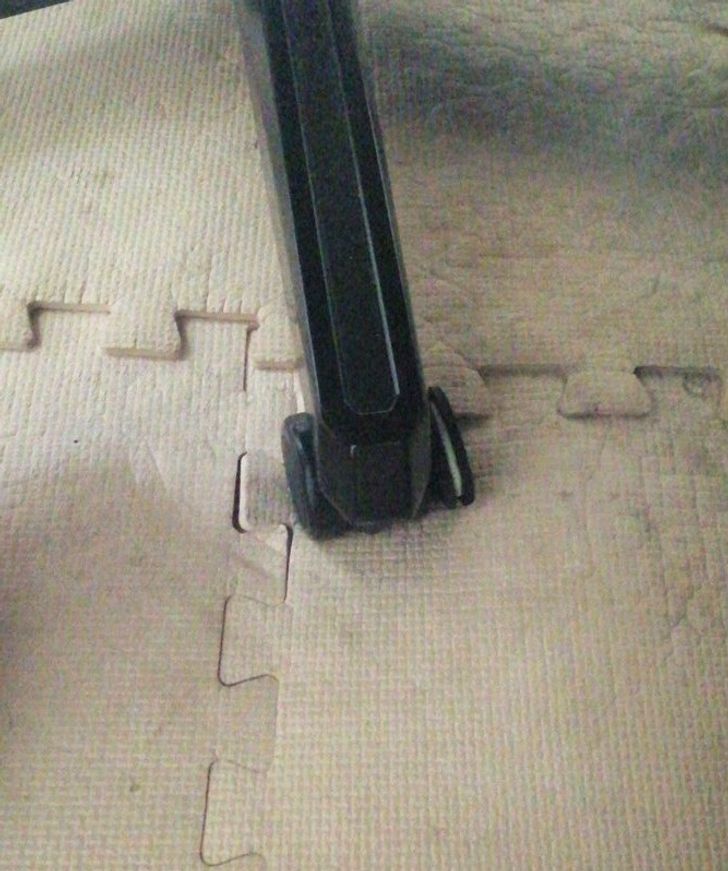 Illustration de l'article : Ces 17 photos qui illustrent l'art de se fondre dans le d&eacute;cor