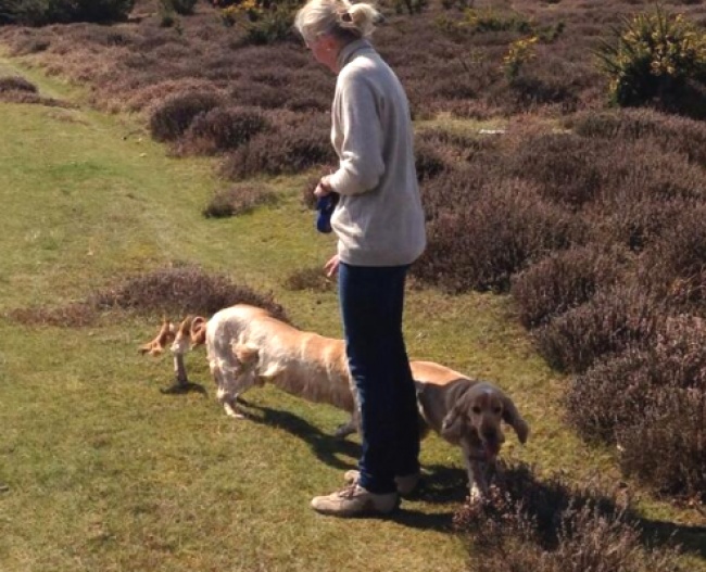 Illustration de l'article : 21 photos rat&eacute;es prises avec le mode panoramique de vos smartphones