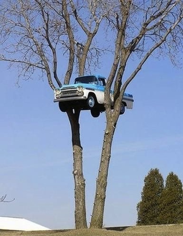 Illustration de l'article : Ces 15 photos qui remettent beaucoup de choses en question