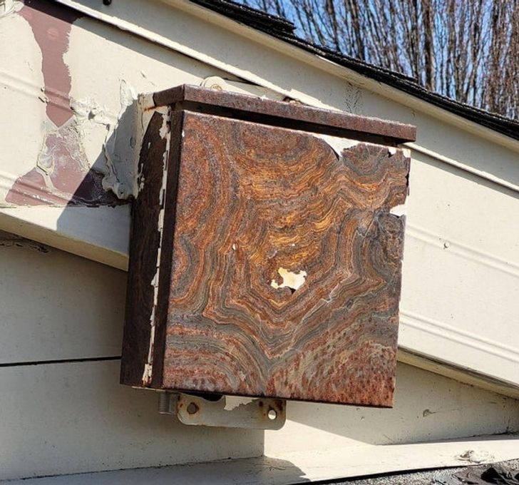 Illustration de l'article : Ces 19 photos qui illustrent des oeuvres d'art impr&eacute;vues