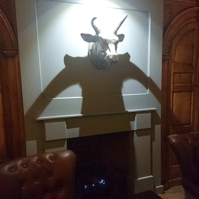 Illustration de l'article : Ces 21 choses que l’on ne voit pas souvent