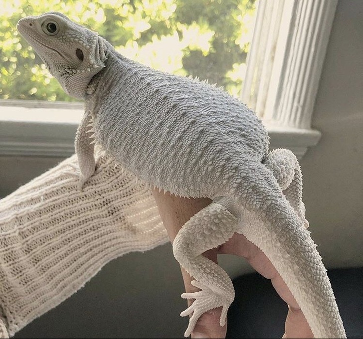 Illustration de l'article : Ces 26 photos qu'il n'était pas possible de prendre autrefois