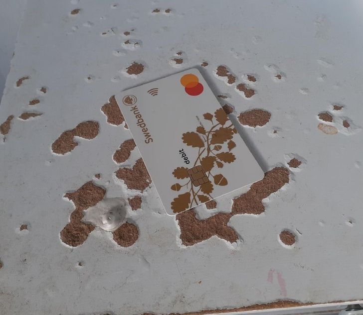 Illustration de l'article : Ces 17 photos qui illustrent l'art de se fondre dans le d&eacute;cor