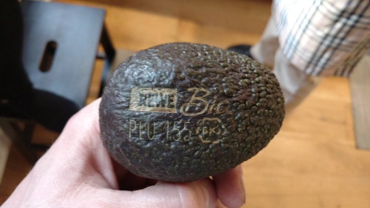 Illustration de l'article : Ces 24 conceptions qui permettent de mieux préserver la planète