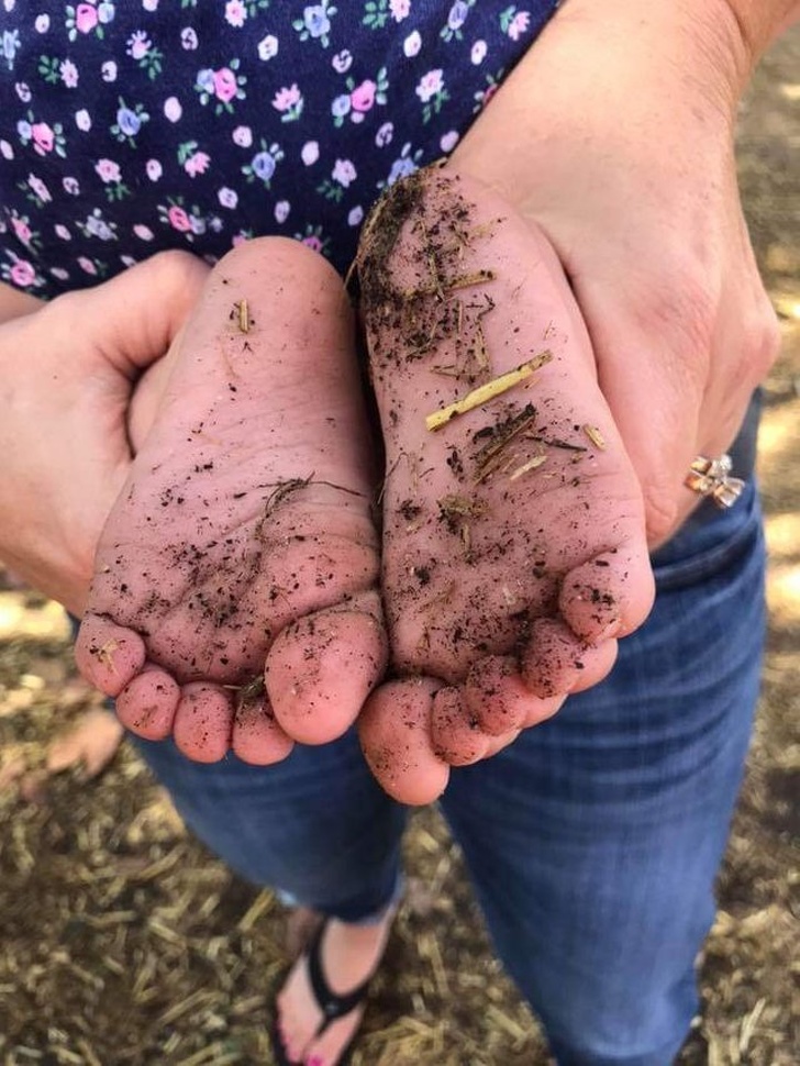 Illustration de l'article : Ces 15 situations capturées au bon moment