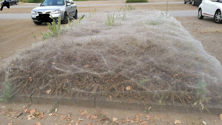 Illustration de l'article : Ces 17 façons de voir les choses qui sortent de l’ordinaire