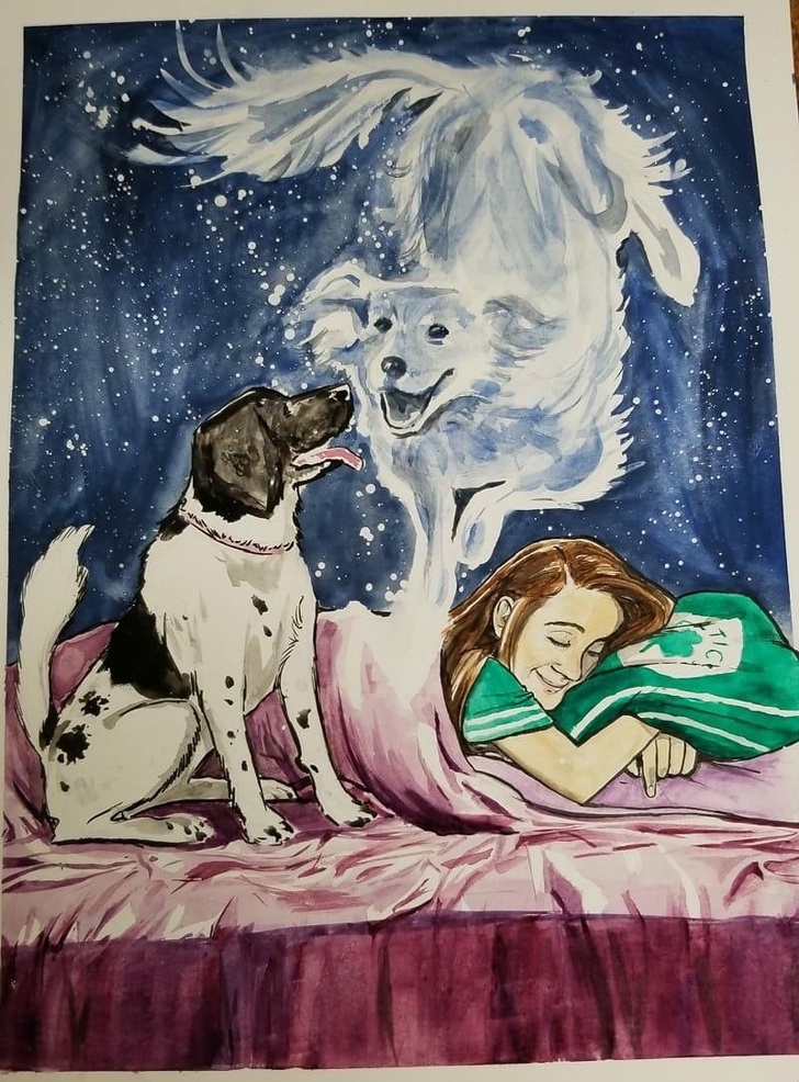 Illustration de l'article : Ces 15 photos qui racontent une histoire sensible