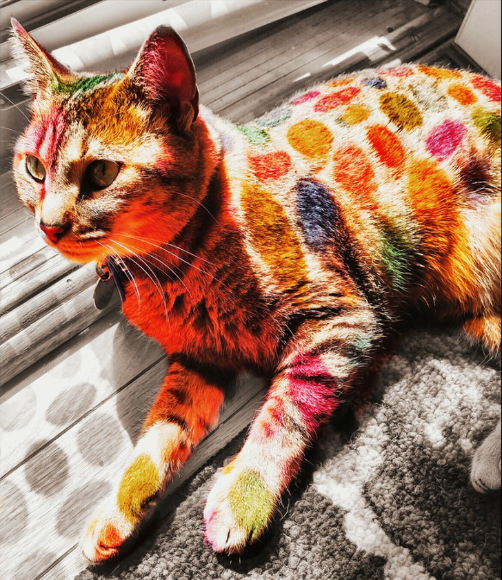 Illustration de l'article : Ces 22 photos qui montrent que le hasard est magique