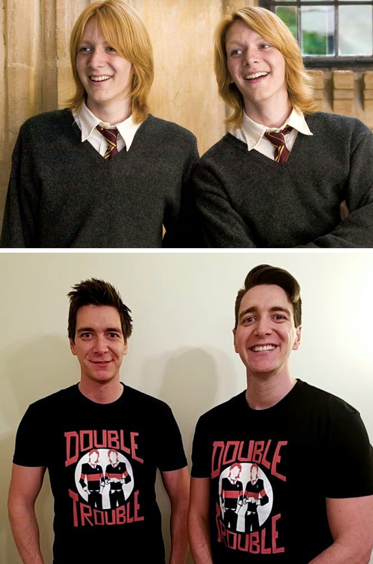 Illustration de l'article : Ces 12 acteurs transformés par la saga Harry Potter