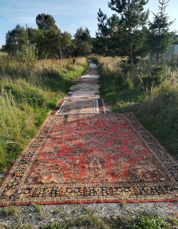 Illustration de l'article : Ces 17 photos de personnes qui ne connaissent pas la logique