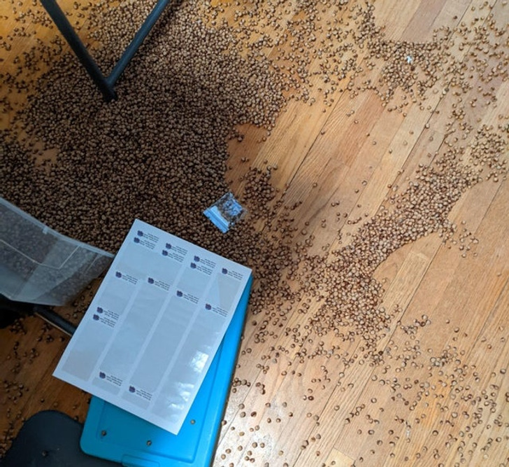 Illustration de l'article : Ces 18 photos de personnes qui pâtissent de la malchance