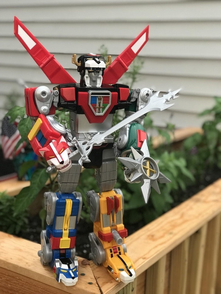 Illustration de l'article : Ces 18 photos de situations où la chance était au rendez-vous