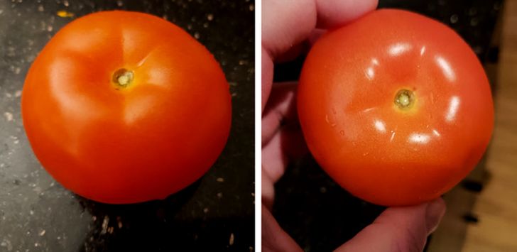 Illustration de l'article : Ces 19 photos qui illustrent la beaut&eacute; de la nature 