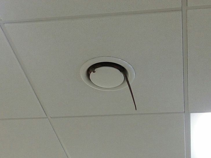 Illustration de l'article : Ces 17 photos qui offrent une montée d'adrénaline