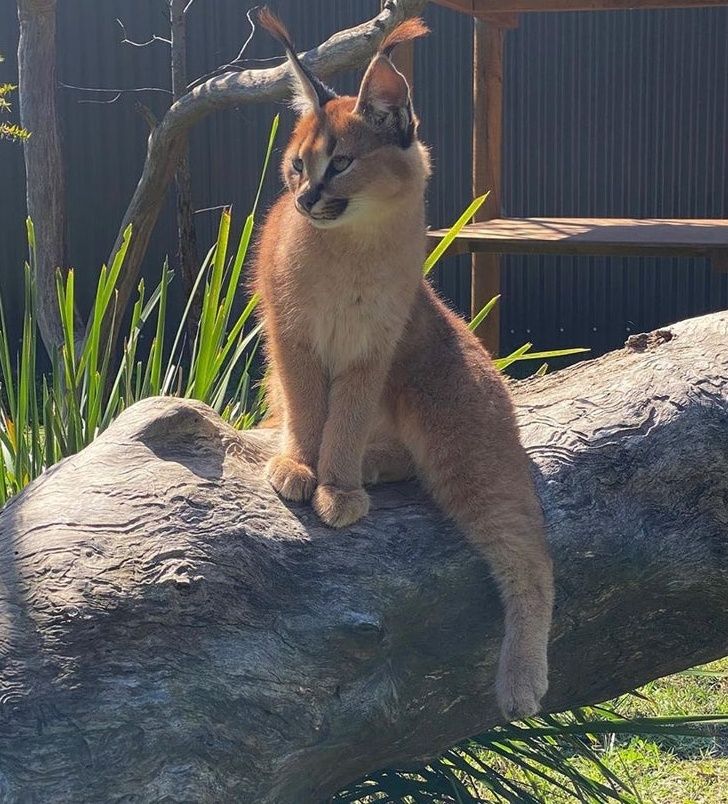 Illustration de l'article : Ces 19 photos qui illustrent la beaut&eacute; de la nature 