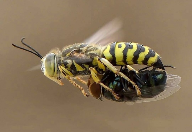 Illustration de l'article : 32 photographes qui ont magnifiquement réussi à suspendre le temps !