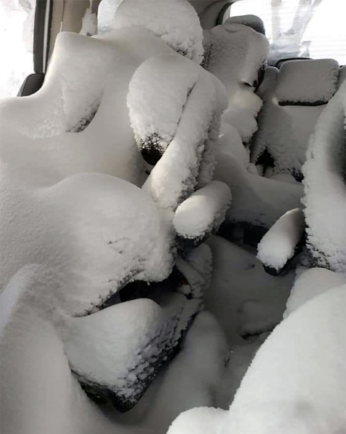 Illustration de l'article : Ces 24 personnes qui ont assurément passé une très mauvaise journée