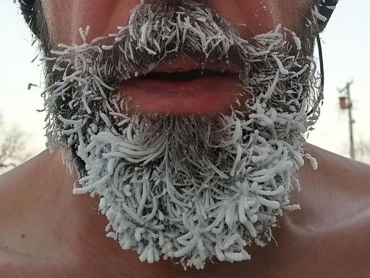 Illustration de l'article : Ces 20 photos qui répondent aux questions des personnes curieuses