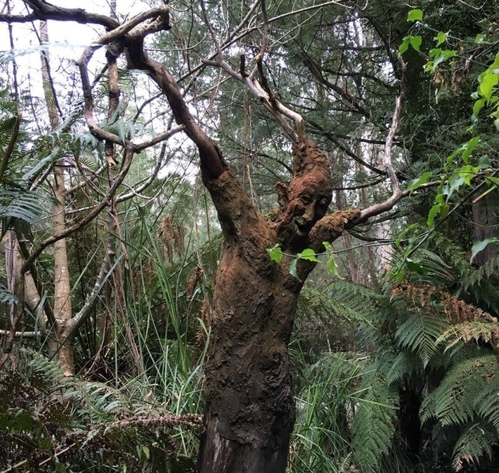 Illustration de l'article : Ces 20 photos qui donnent le frisson