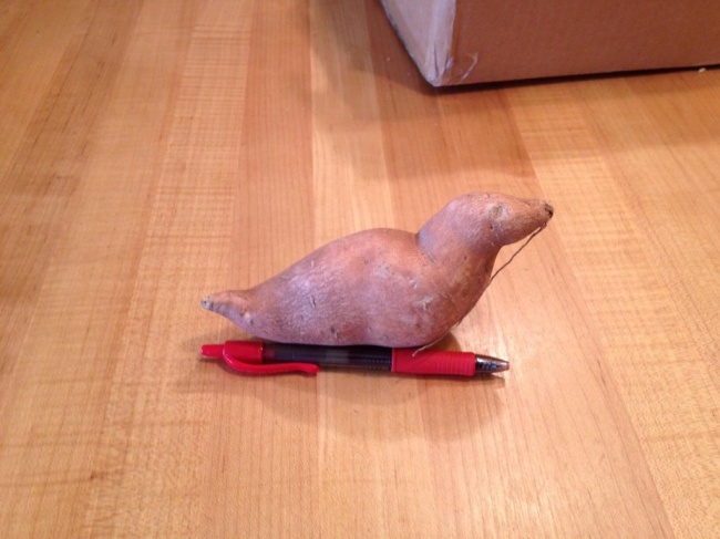 Illustration de l'article : 25 photos trompeuses qui nécessitent de la réflexion