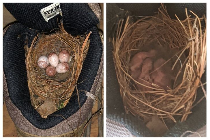 Illustration de l'article : Ces 20 internautes qui ont partagé leurs découvertes sur Internet