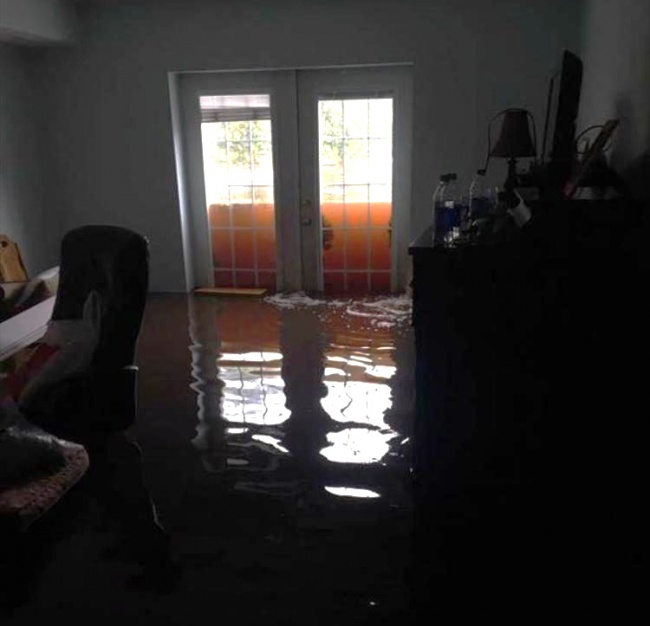 Illustration de l'article : 24 des pires poisses les plus redoutées