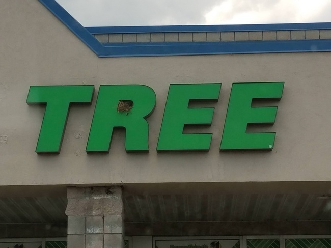 Illustration de l'article : Ces 15 trolls qui donnent le sourire pour la journée