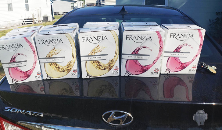 Illustration de l'article : Ces 22 tr&eacute;sors retrouv&eacute;s dans une poubelle