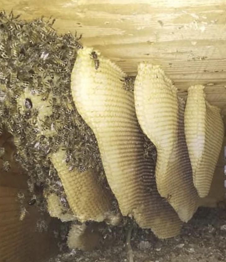 Illustration de l'article : Ces 20 internautes qui ont partagé leurs découvertes sur Internet