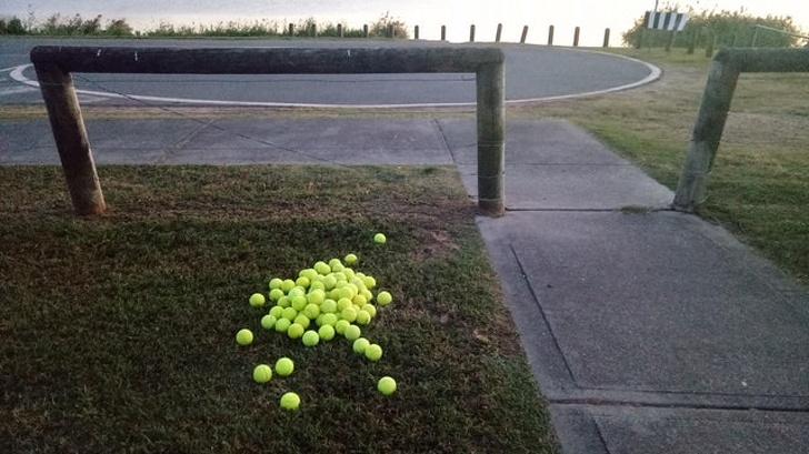 Illustration de l'article : Ces 18 photos qui peuvent être réconfortantes