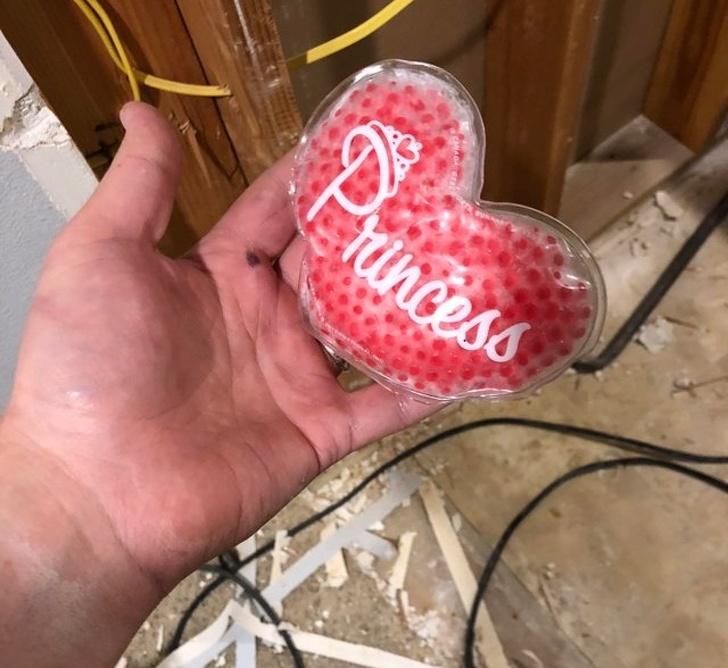 Illustration de l'article : Ces 17 familles dans lesquelles vous devez toujours surveiller vos arri&egrave;res