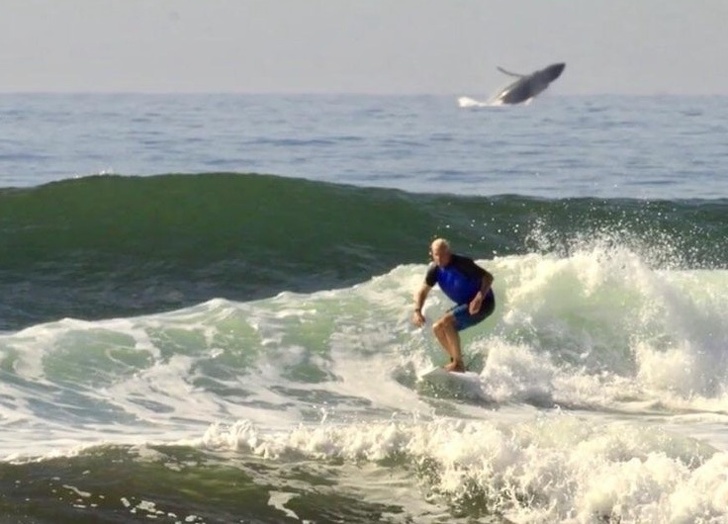 Illustration de l'article : Ces 18 photos où l’arrière-plan a concentré toute l'attention